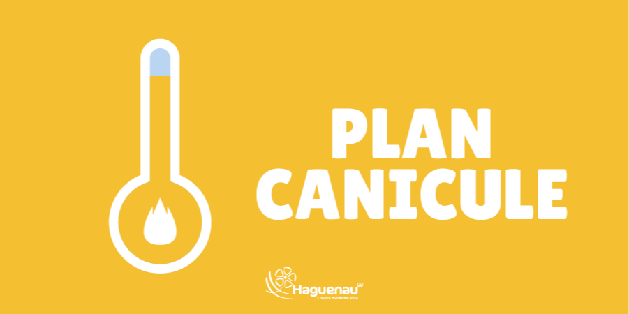 Plan canicule : restons vigilants face aux fortes chaleurs