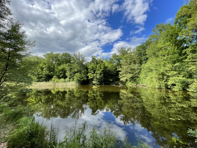 Les étangs Gründel