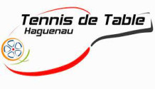 Tennis de Table de Haguenau & des environs